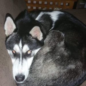 Meet your Posher, Matthew